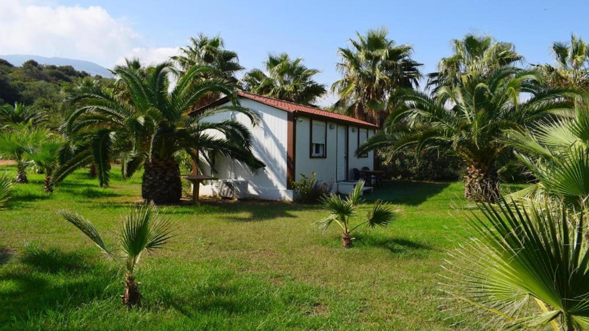 La Palma Beachfront Suites Georgioupoli Eksteriør billede